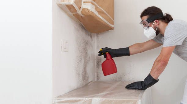 Professional Crawl Space Mold Removal technician working in Garfield, NJ