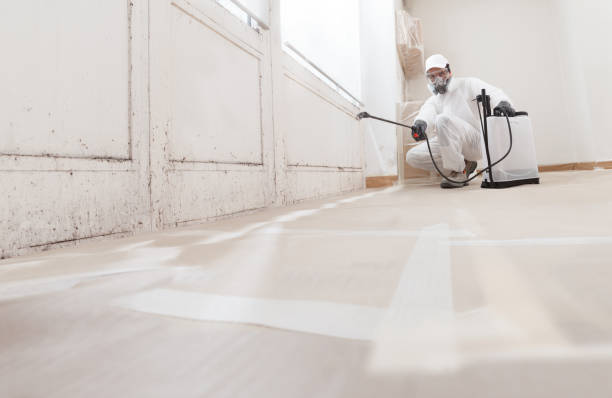 24/7 Emergency Crawl Space Mold Removal experts in Garfield, NJ