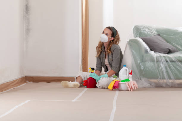 Reliable Crawl Space Mold Removal contractor in Garfield, NJ by WQB Mold Removal