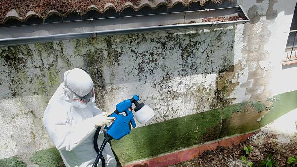 Top rated local Crawl Space Mold Removal specialists in Garfield, NJ